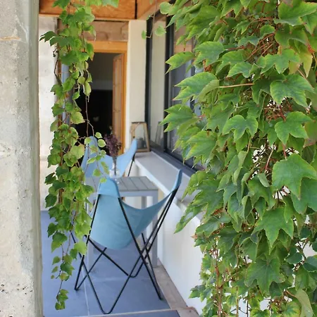 La Petite Cagouille Graves-Saint-Amant